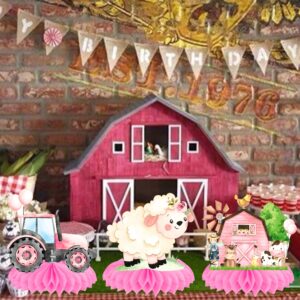 11Pcs Pink Farm Animals Honeycomb Centerpieces Farm Theme Party Table Centerpieces Barnyard Party Honeycomb Decorations Farm Birthday Party Table Decorations for Farm Theme Baby Shower Supplies