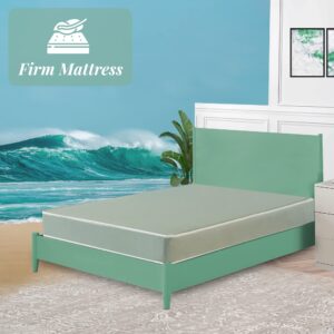 Greaton 8" Firm Sleeping Mattress, Double Sided Vinyl Mattresses for Complete Comfiness, Waterproof Security for Long Time Use, Provides All Rounded Necessary Body Support, Full XL, Green