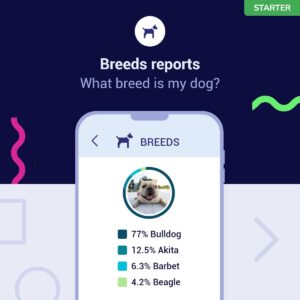 TellmeGen Koko Genetics - DNA Test for Dogs Starter - (Breeds and Traits Reports) - Updates at no Cost