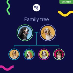 TellmeGen Koko Genetics - DNA Test for Dogs Starter - (Breeds and Traits Reports) - Updates at no Cost