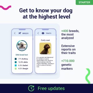 TellmeGen Koko Genetics - DNA Test for Dogs Starter - (Breeds and Traits Reports) - Updates at no Cost