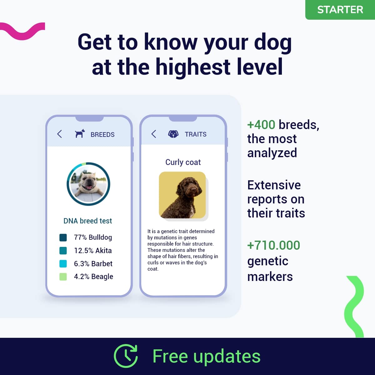 TellmeGen Koko Genetics - DNA Test for Dogs Starter - (Breeds and Traits Reports) - Updates at no Cost