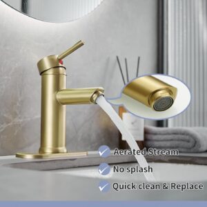 Greenspring Brushed Gold Bathroom Faucet, Bathroom Sink Faucet, Farmhouse Single Handle One Hole Bathroom Faucets with Supply Line with Pop Up Sink Drain Assembly and Water Faucet Supply Lines