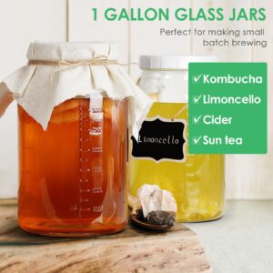 Qianfenie 1 Pack Wide Mouth 1 Gallon Clear Glass Jar w Lid, Heavy Duty 100% Airtight Screw Lid w Silicone Gasket - Mason Jar w 2 Scale Mark for Fermenting Kombucha and Storing Food.