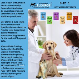 OPTIMIZED RECOVERY Lion's Mane & Cordyceps >25% & >35% β-glucans 100% Mushrooms Fruiting bodies Extracts Blend for Dogs & Cats. Recovery Aid, Healing & Senior Pet Health Formula. 250 SERVINGS for 25lb