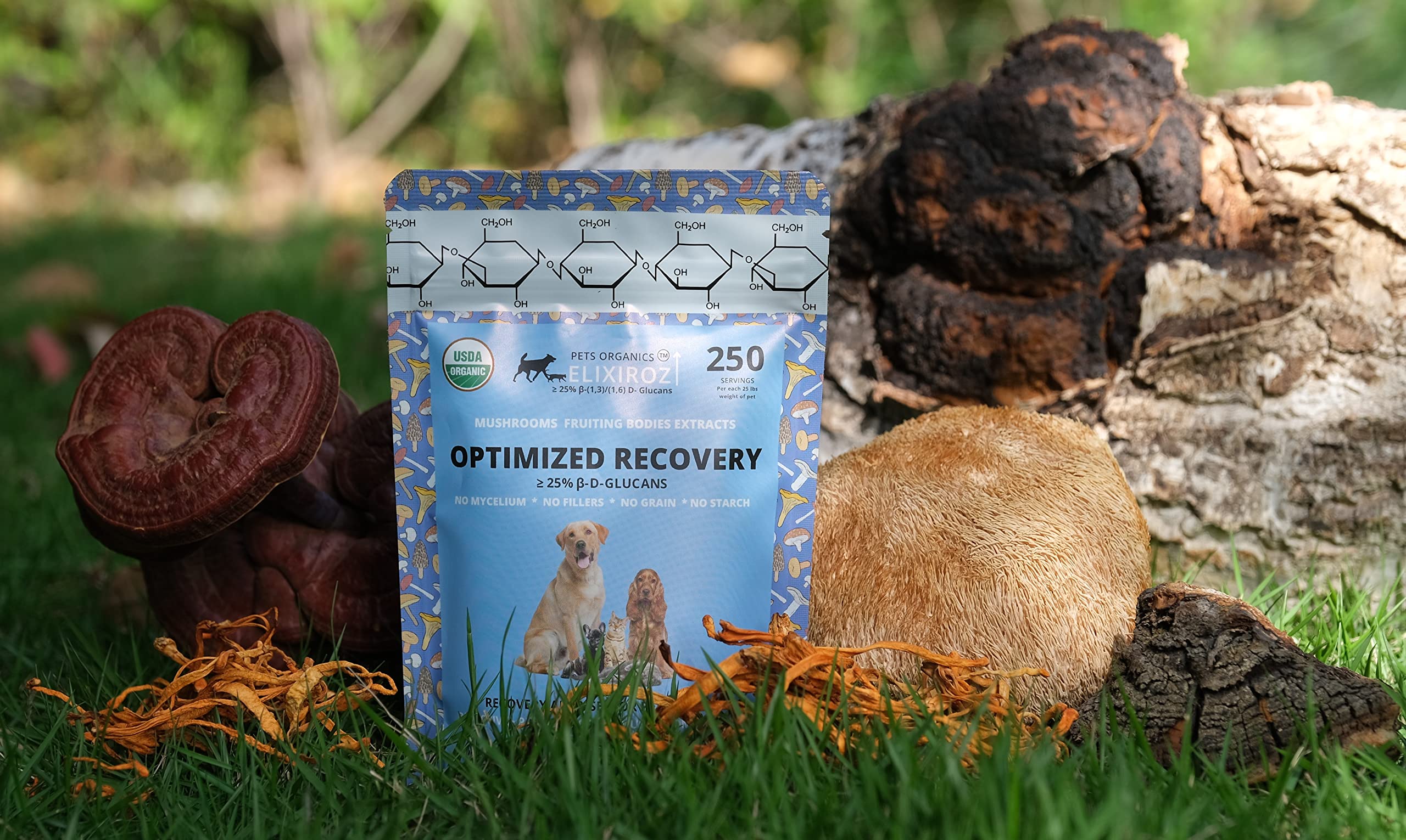 OPTIMIZED RECOVERY Lion's Mane & Cordyceps >25% & >35% β-glucans 100% Mushrooms Fruiting bodies Extracts Blend for Dogs & Cats. Recovery Aid, Healing & Senior Pet Health Formula. 250 SERVINGS for 25lb