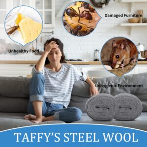 TAFFY'S Steel Wool for Mice Control - 1 Pack of 3×15Ft Steel Wool, Gap Filter for House & Garage - Keep Mice Away from Holes, Siding, Pipeline, Vents in Garden, House, 5.29oz