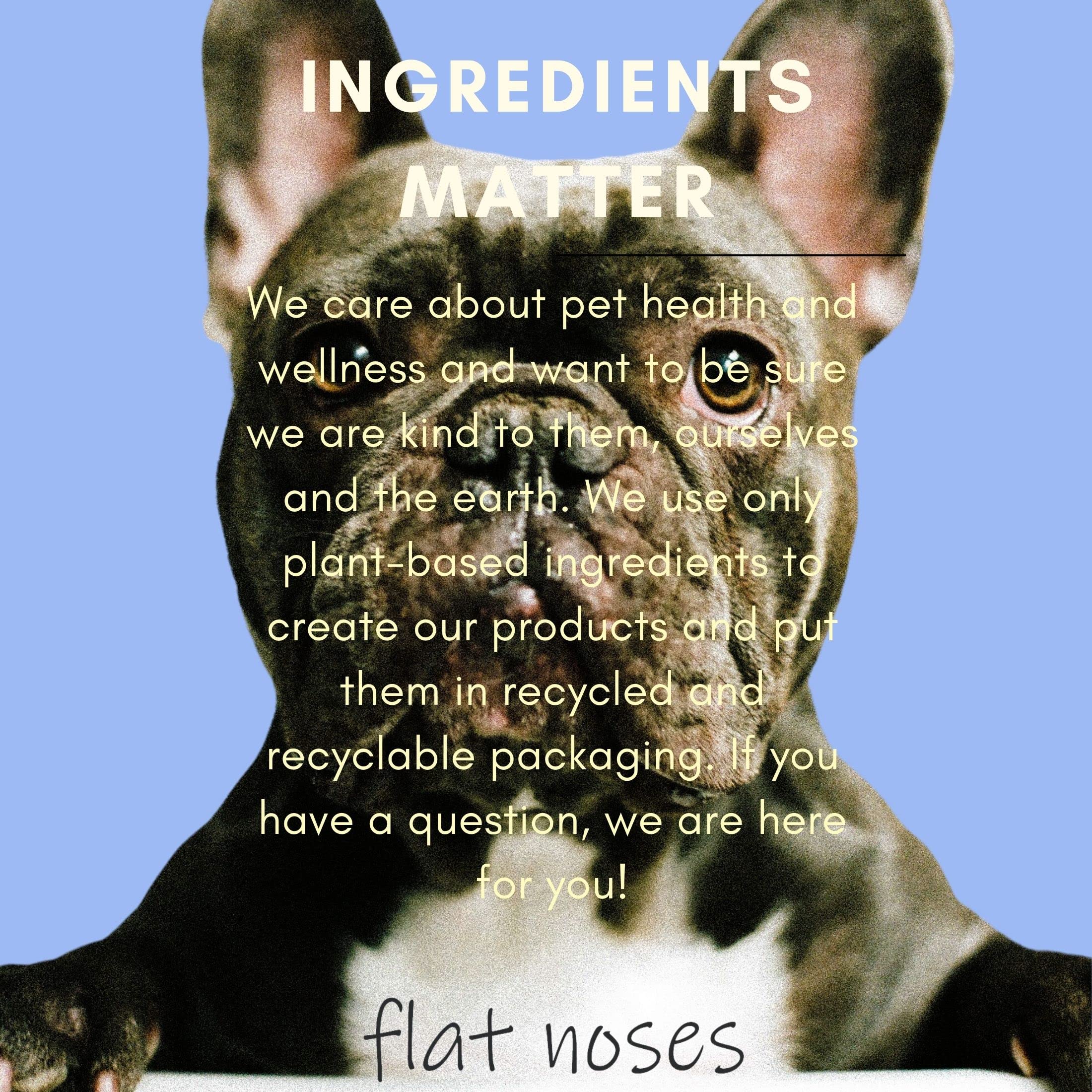 Flat Noses Pet Calming Mist - Pure Organic Lavender - Relieve Dog Stress from Fireworks, Travel, Vet Visits, Separation Anxiety- Aromatherapy Anti-Anxiety Stress Reliever- 8 oz Calming Spray for Dogs