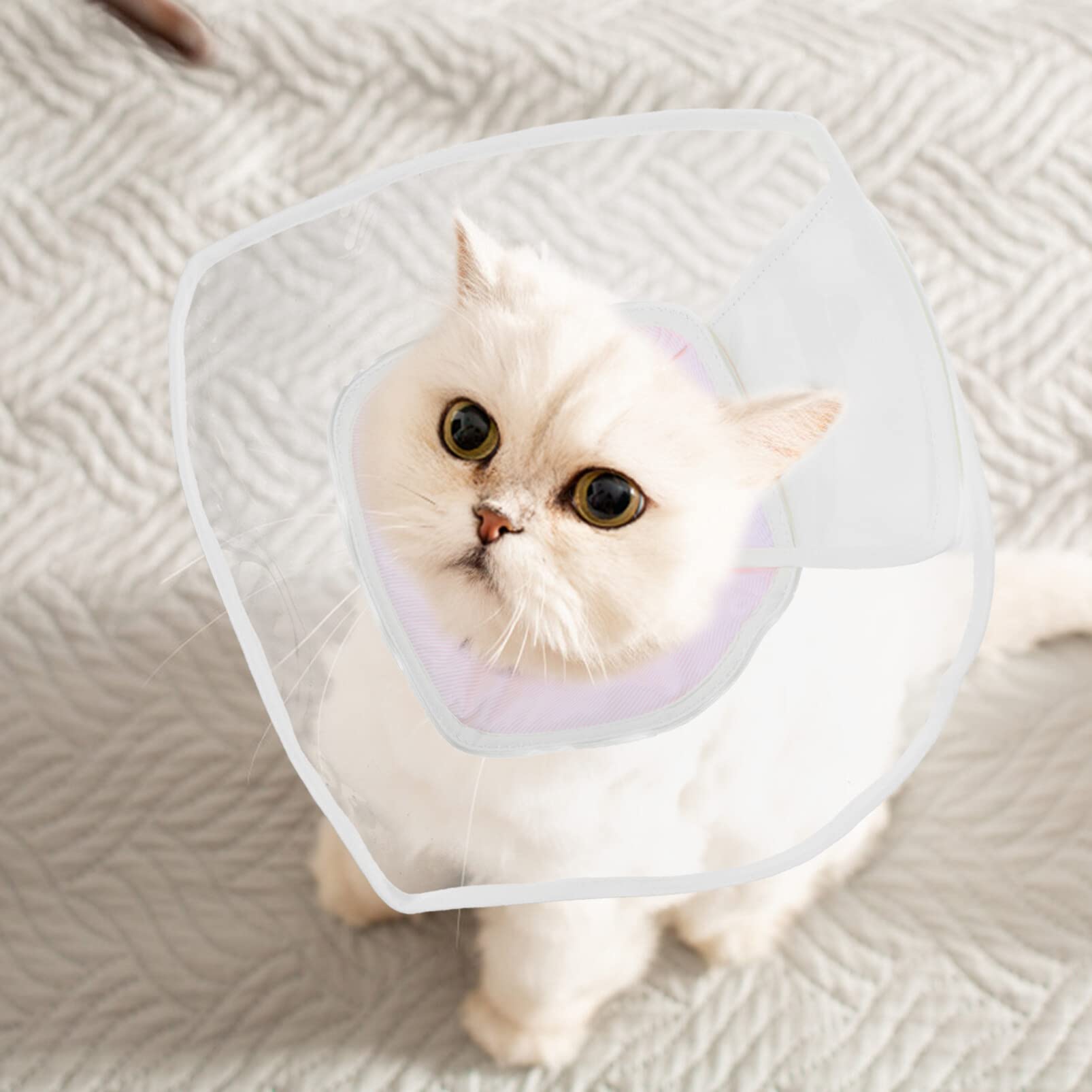 POPETPOP Compound Cone Collar Cat Neck Circle Surgery Recovery Collar Cat Neck Cone Dog Cone Pet Recovery Collar Pet Supply Pet Collars Cat -Licking Collar -Scratch PVC Neck Ring