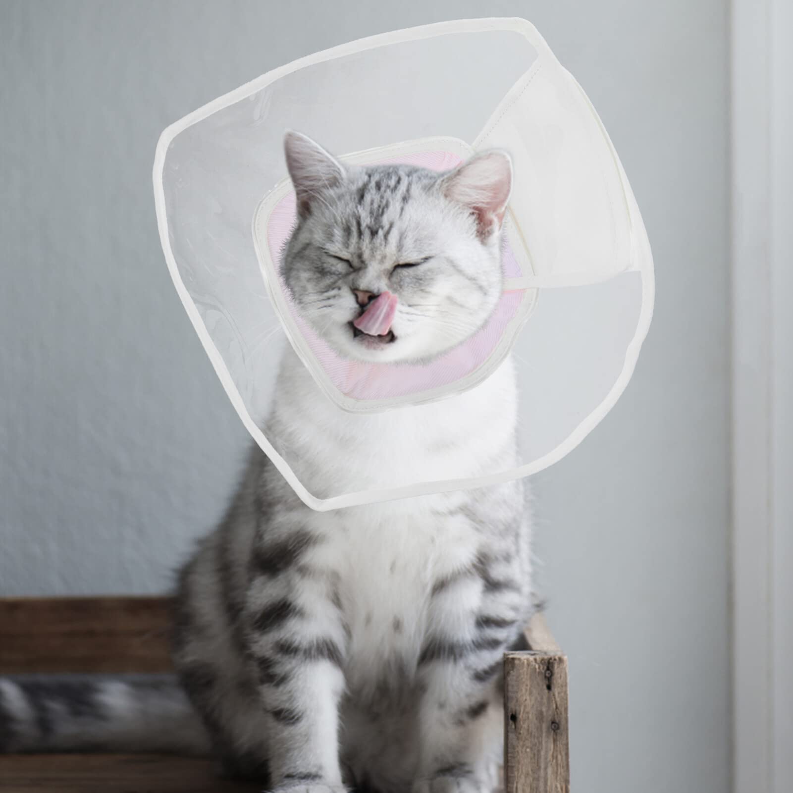 POPETPOP Compound Cone Collar Cat Neck Circle Surgery Recovery Collar Cat Neck Cone Dog Cone Pet Recovery Collar Pet Supply Pet Collars Cat -Licking Collar -Scratch PVC Neck Ring