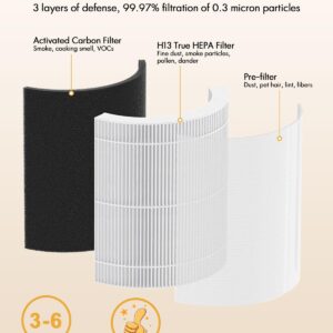 Air Purifier B-D02U Replacement Filter, VEWIOR H13 True HEPA Air Cleaner Filter (Special for B-D02U Air Purifier)