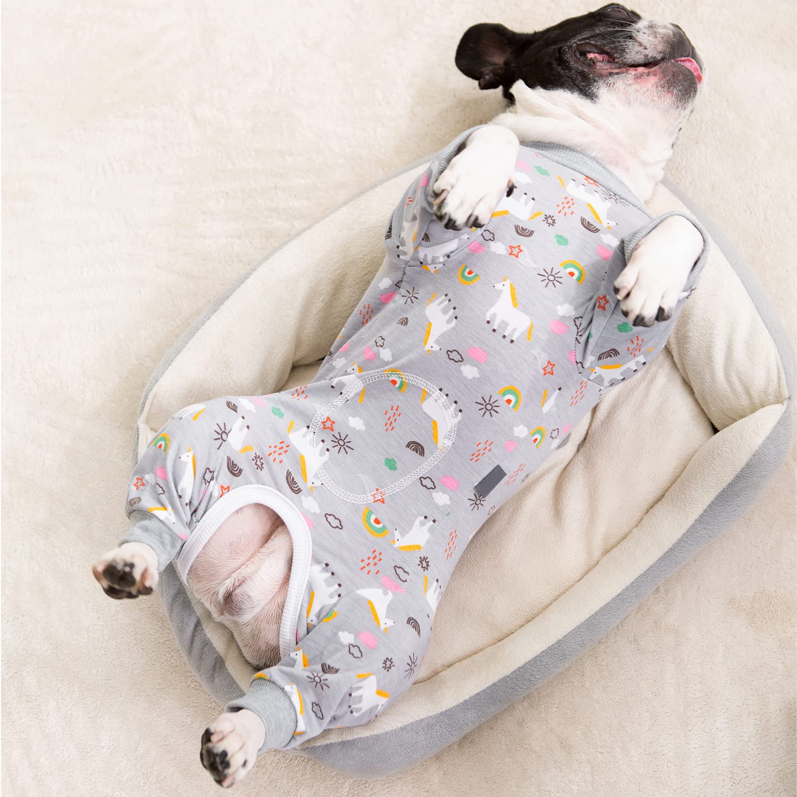 Dog Surgery Recovery Suit, Dog Onesie for Surgery Female Male Dogs, Dogs Pajamas Long Sleeve, Small Dogs Onesie, Abdominal Wound Bandages Surgical Suit, Cat Recovery Suit for Shedding Skin Disease