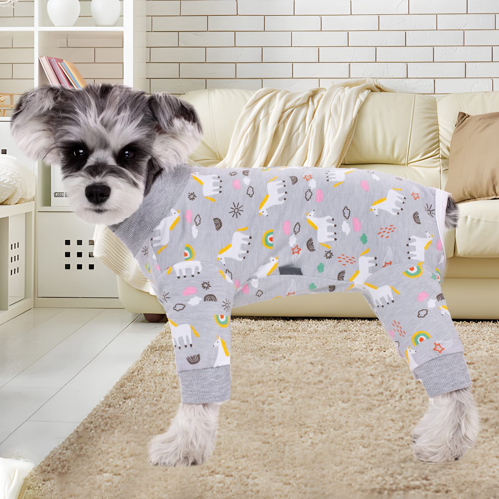 Dog Surgery Recovery Suit, Dog Onesie for Surgery Female Male Dogs, Dogs Pajamas Long Sleeve, Small Dogs Onesie, Abdominal Wound Bandages Surgical Suit, Cat Recovery Suit for Shedding Skin Disease