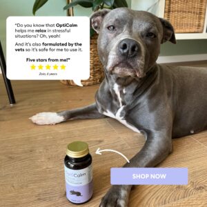 OptiCalm Dog Calming Supplement - GABA, L-Theanine & L-Tryptophan - Sprinkle Capsules for Relaxation & Anxiety Relief - Natural Calming Aid