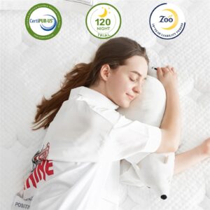 Zeelovtress 12 Inch Full Size Mattress, Cool Gel Memory Foam Hybrid Full Mattress in a Box, with Medium Firm Individual Pocketed Coils for Support, Toss and Turn Reduction, Pain Pressure Relief