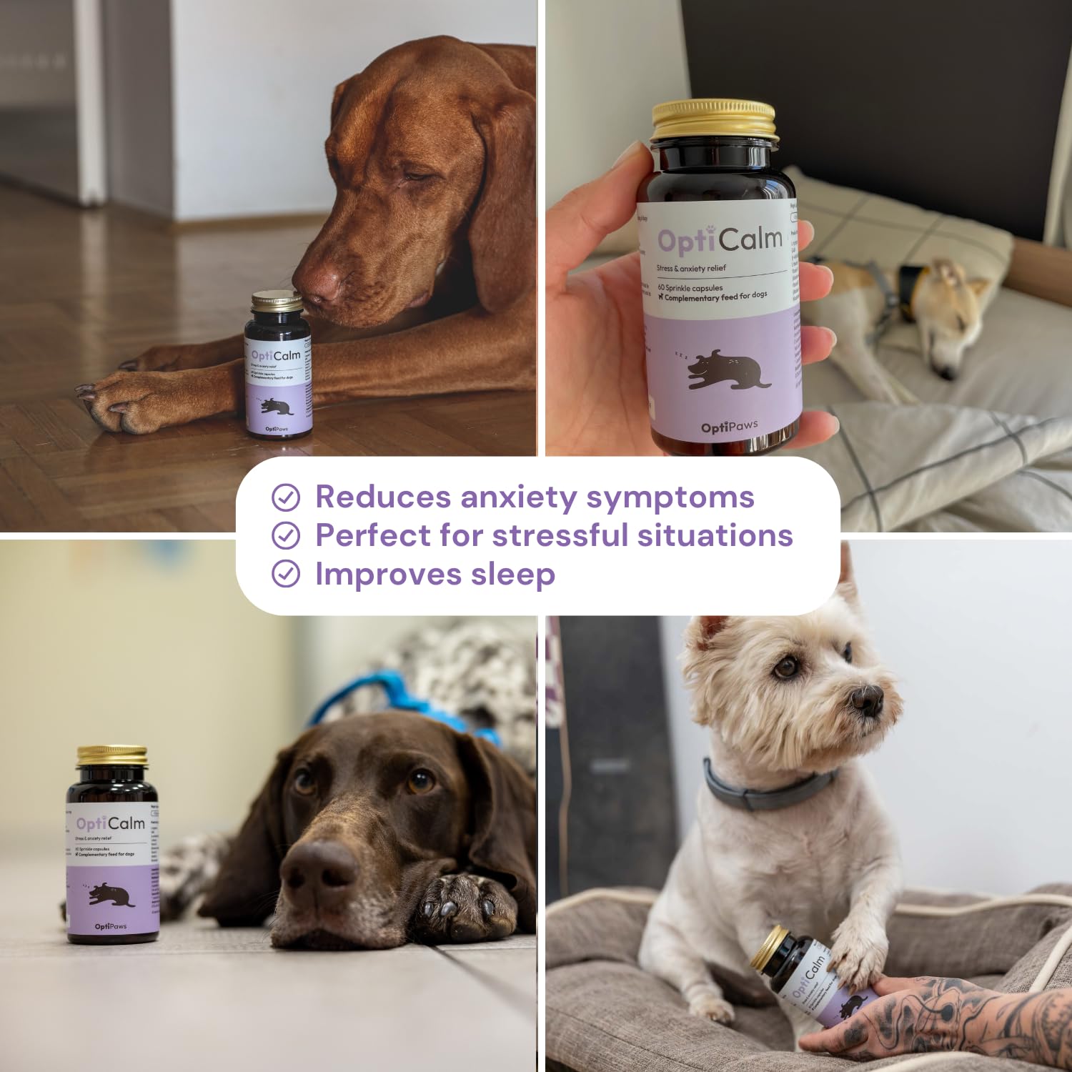 OptiCalm Dog Calming Supplement - GABA, L-Theanine & L-Tryptophan - Sprinkle Capsules for Relaxation & Anxiety Relief - Natural Calming Aid