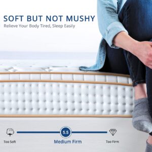 BedStory 14" Full Mattress in a Box, Hybrid Gel Memory Foam Mattress with Pocket Spring, Medium Firm Mattress with Dual Brim Design for Support&Pressure Relieving&Motion Isolation, USA Made