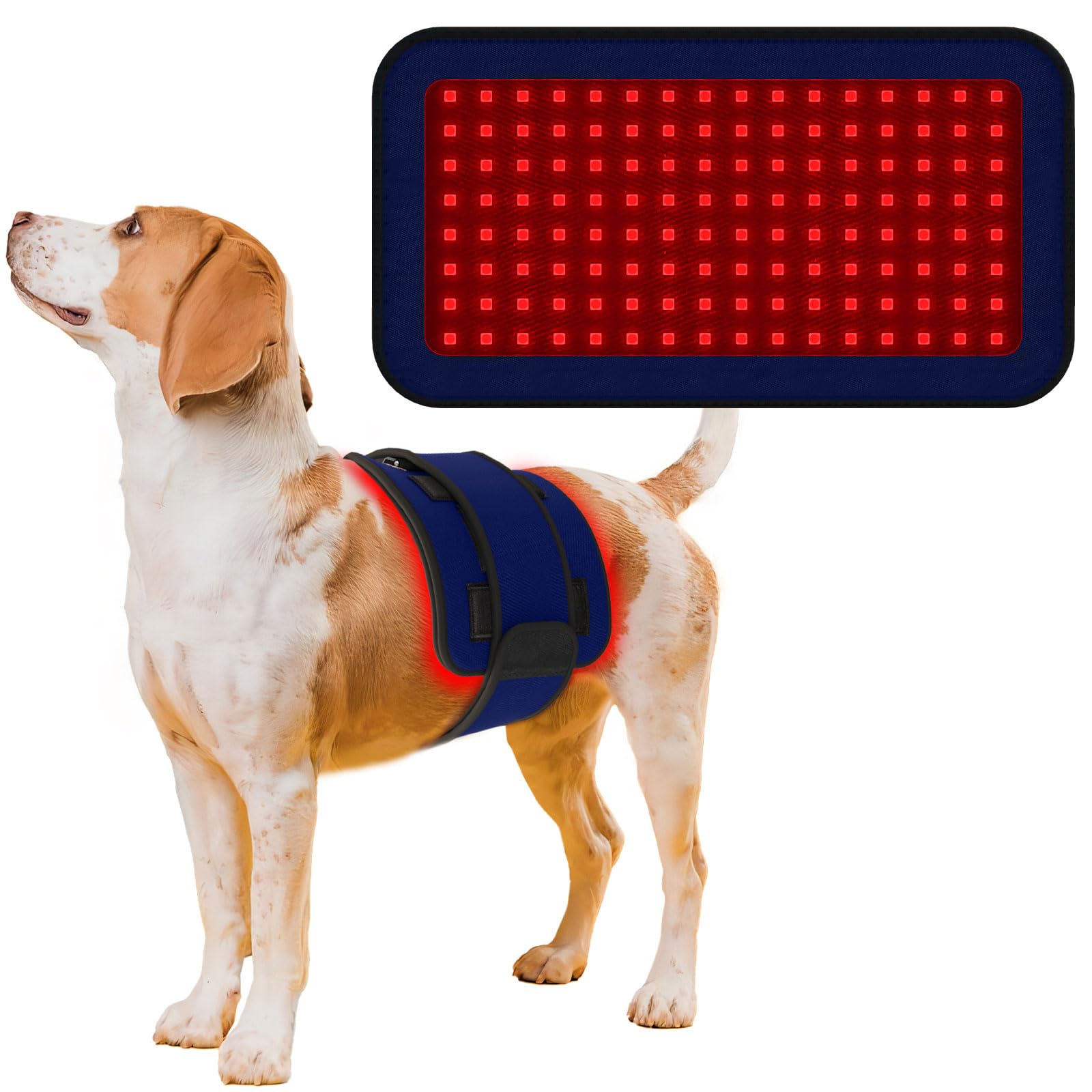 PUPCA Red Infrared Light Therapy Belt for Pets Pain Relief, Portable Wearable Cold Laser Therapy Device for Dogs Tissue Repair, Relieve Sciatica, Joint & Back Pain