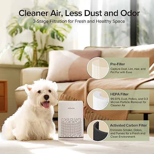 Compact Desktop Air Purifier - True HEPA Filter, Whisper-Quiet Operation, Energy-Efficient - Captures 99.97% of A11ergens, Dust, and Odors - Ideal for Home, Office, and Bedroom - Model: AC300