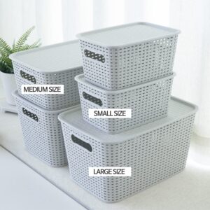 OLLIC Plastic Bins Large Storage with Lids | Korean Organizer Bin Basket Set for Organizing Baskets in Closet and Home (GRAY, LARGE_4PK)