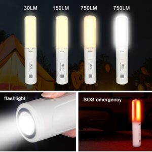 Rechargeable Camping Light, 750 Lumens 3500mAh Portable LED Camping Lantern for Fishing/Camping/Hiking/Emergency Kits.3 Lighting Modes.