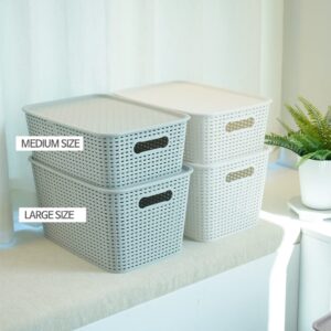 OLLIC Plastic Bins Large Storage with Lids | Korean Organizer Bin Basket Set for Organizing Baskets in Closet and Home (GRAY, LARGE_4PK)