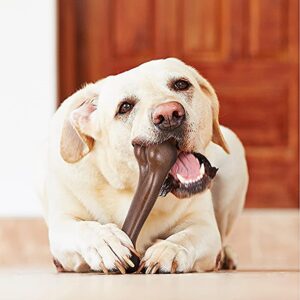 Dog Chew Toys, The Vitamin Shop for Hard Chewers, Your Healthy Pet Friend with The Taste of Real Meat