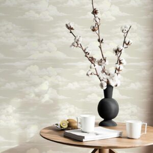 JiffDiff Wallpaper Peel and Stick White Cloud Wallpaper for Bedroom Mural Grey Wallpaper 17.3" x 118" Self Stick Neutral Wallpaper Modern Abstract Wallpaper