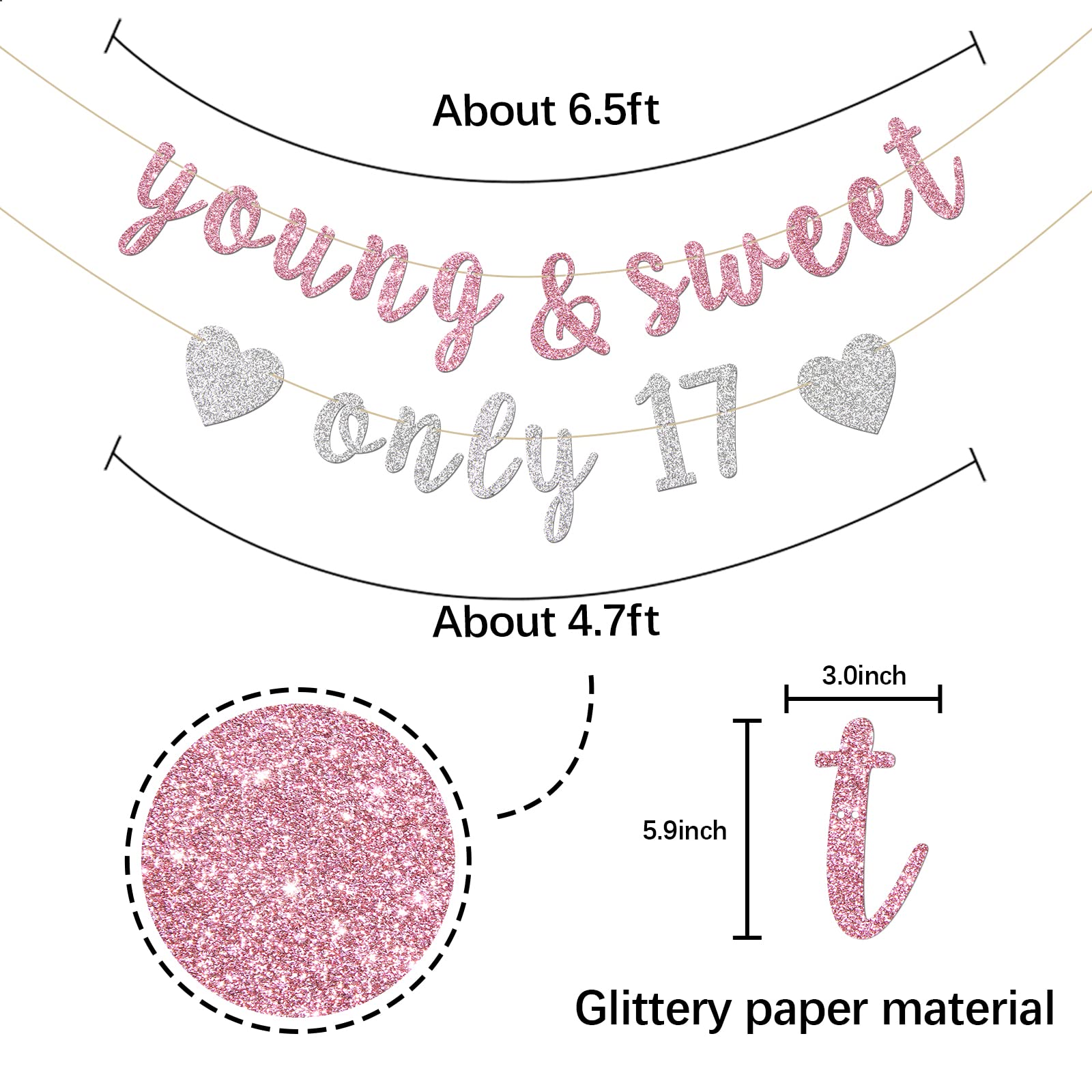 INNORU Young & Sweet Only 17 Banner - Happy 17th Birthday Party Decor for Girls - Cheers to 17 Years Party Decorations Supplies, Pink & Silver Glitter