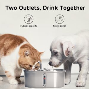 iPettie Cat Feeder and Waterer Combo, Twins Water Fountain Stainless Steel with Two Spouts, 101oz/3.0L, Food and Water Dispenser, 5-Stage Filtration Water Purifier