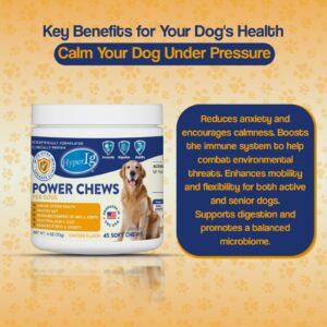 Power Chews for Dogs - Chicken Flavor, IgY Hyperimmune Protein for Immune System Health, Joint Support, Stress & Anxiety Relief, and Healthy Skin & Coat – 45 Soft Chews, 113g - 4 Cans (4 Canister)