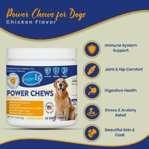 Power Chews for Dogs - Chicken Flavor, IgY Hyperimmune Protein for Immune System Health, Joint Support, Stress & Anxiety Relief, and Healthy Skin & Coat – 45 Soft Chews, 113g - 4 Cans (4 Canister)