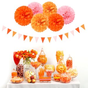 Pink-Orange Groovy Party-Decorations Pom-Poms Streamers - 23pcs Fall Autumn Thanksgiving Harvest Tissue Tassel Garland Banner,Birthday Baby Bridal Shower Engagement Wedding Decor Lasting Surprise