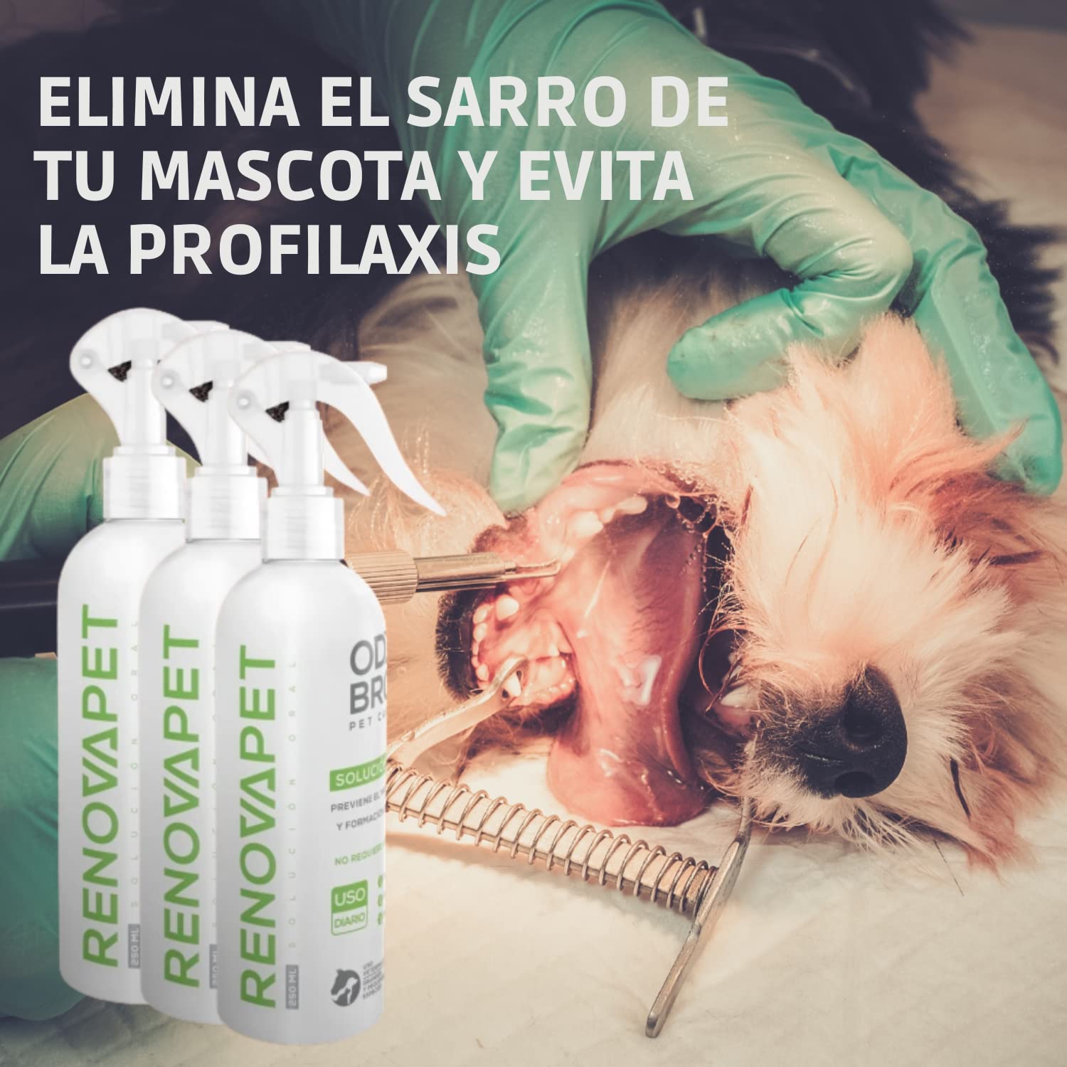 PetyPup Renovapet Organic Antitartar Oral Care Solution Pets Pay 2 and Carry 3 (Renovapet Oral pay 2 carry 3, 250 Ml)