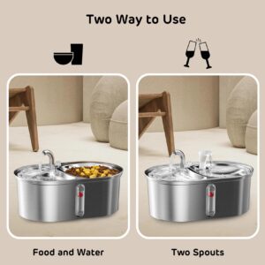 iPettie Cat Feeder and Waterer Combo, Twins Water Fountain Stainless Steel with Two Spouts, 101oz/3.0L, Food and Water Dispenser, 5-Stage Filtration Water Purifier