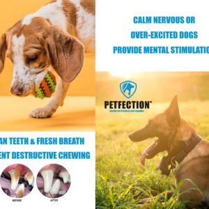 PETFECTION Dog Chew Toys 3 Pack, Dog Toys for Aggressive Chewers Large Breed, Multifunctional Teeth Cleaning and Gum Massage, Tough Dog Toys from 100% Natural Rubber for Large and Medium Dogs