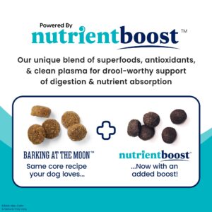 Solid Gold Dry Dog Food w/Nutrientboost for Adult & Senior Dogs - Made with Real Beef, Egg, and Pea - Barking at The Moon High Protein Dog Food for Energy, Digestive and Immune Support - 11 LB Bag