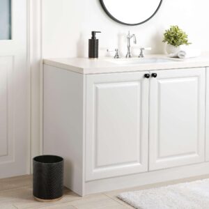 Allure Home Creation Amal Resin Wastebasket Black with Brushed Gold Finish