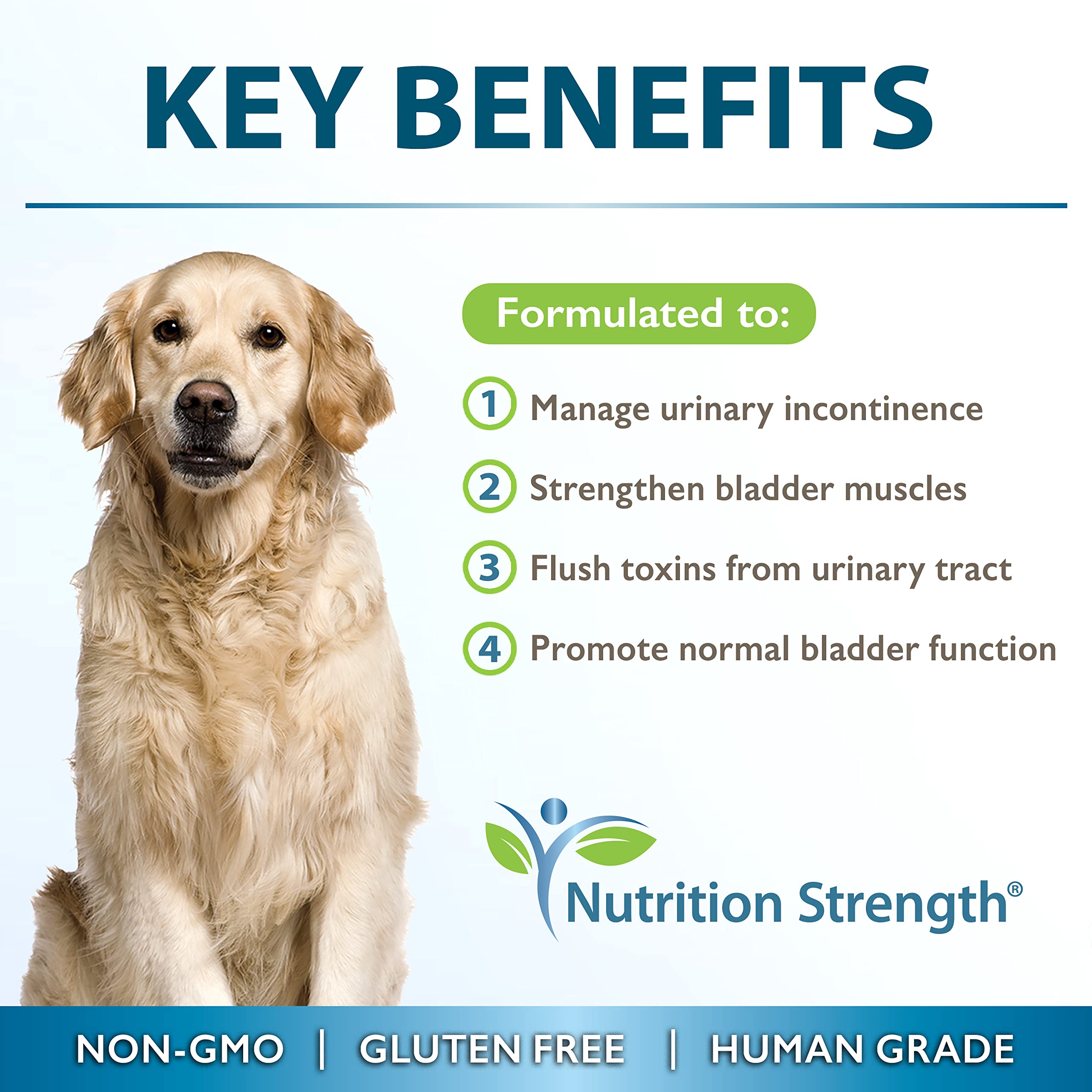 Nutrition Strength Dog Incontinence Support, Extra Strength Supplement for Dog Bladder Health, Organic Support for Dogs Leaking Urine, Promotes Dog Bladder Control, 30 Soft Chews