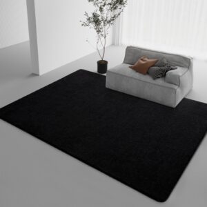 DweIke Modern Area Rugs for Bedroom Living Room, 4x6 ft Thickened Memory-Foam Indoor Carpets, Minimalist Style Carpet Suitable for Boys Girls and Adults with Super Soft Touch, Washable, Black