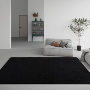 DweIke Modern Area Rugs for Bedroom Living Room, 4x6 ft Thickened Memory-Foam Indoor Carpets, Minimalist Style Carpet Suitable for Boys Girls and Adults with Super Soft Touch, Washable, Black