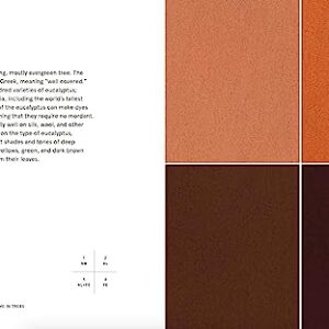 Natural Palettes: Inspiration from Plant-Based Color