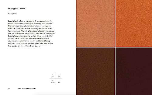 Natural Palettes: Inspiration from Plant-Based Color