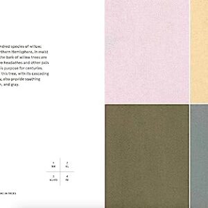 Natural Palettes: Inspiration from Plant-Based Color