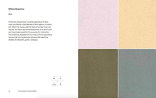 Natural Palettes: Inspiration from Plant-Based Color