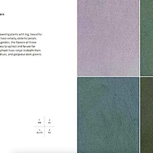 Natural Palettes: Inspiration from Plant-Based Color