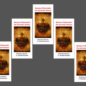 5Pack Novena of Surrender to the Will of God Trifold Holy Card