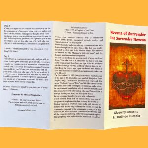 5Pack Novena of Surrender to the Will of God Trifold Holy Card