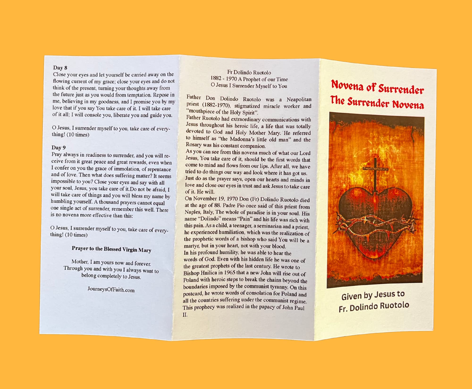 5Pack Novena of Surrender to the Will of God Trifold Holy Card