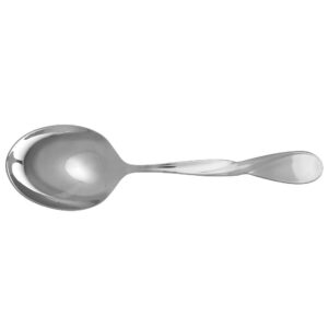 oneida aquarius casserole spoon